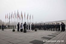 Medzinrodn de vojnovch veternov  De ervench makov