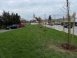 Linden and chestnut alley decorates Gabčík park