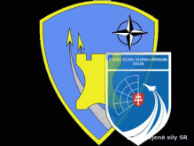 Cvičenie POLANA