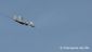 Ostré letecké streľby pilotov stíhacích lietadiel MiG-29 